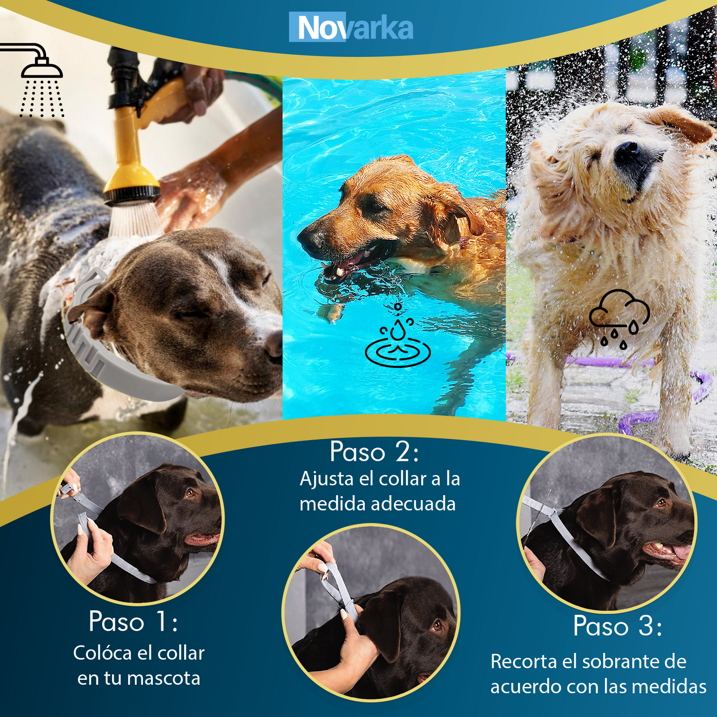 3 COLLARES ANTIPARASITARIOS X 22.99€ (6 X 31,99€)
