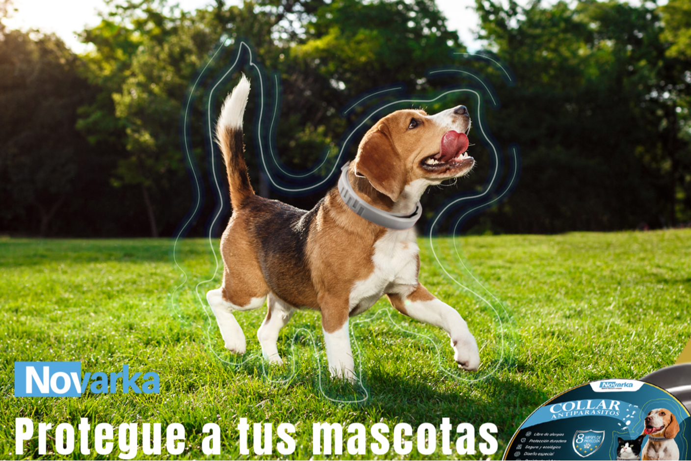 3 COLLARES ANTIPARASITARIOS X 22.99€ (6 X 31,99€)