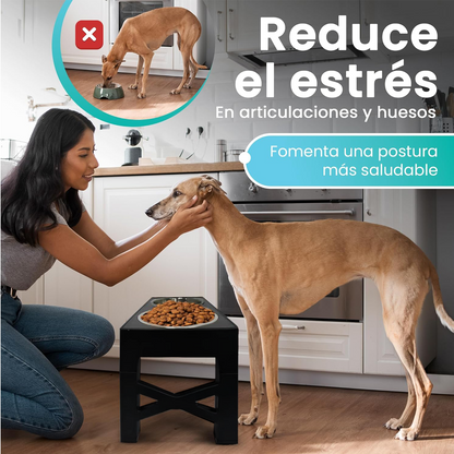 COMEDERO PERRO 5 ALTURAS (PACK DE 2 UNIDADES AL 50% DESCUENTO=40,99€)
